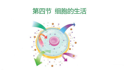 《细胞的生活》课堂视频（初中生物）