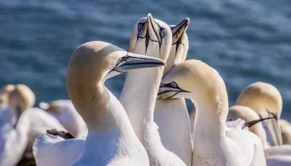 文言文实词120---坐